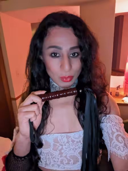 TS Nelly / TS Exotic /TS Insatiable / TS Gipsy - Escort/Massage/S&M in Chicago, IL