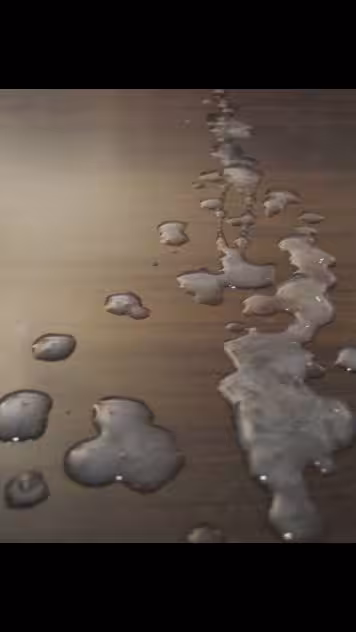 TS Brenda - Escort in Chicago, IL