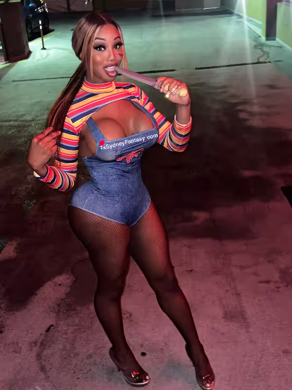 TS Sydney - Escort in Dallas, TX