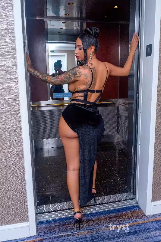 Escort/Massage Amira Misari / Muneera Misaari in Miami, FL