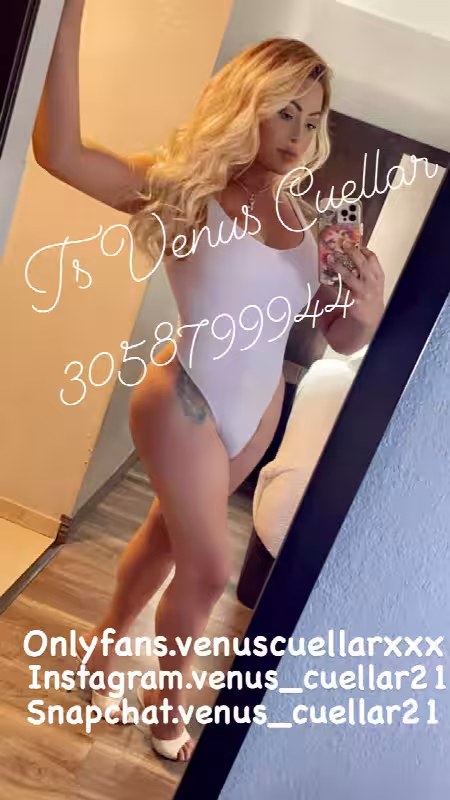 Escort/Massage TS Venus Cuellar in Miami, FL