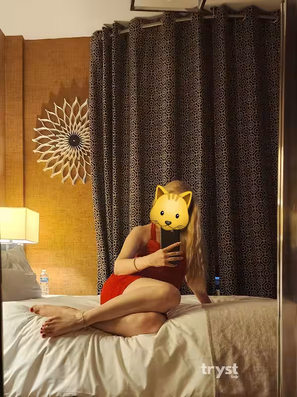 Escort/Massage/S&M Addie / Arina in New York City - Manhattan, NY