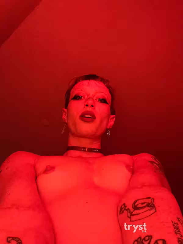 Scarlet - Escort/Massage/S&M in North Hollywood, CA