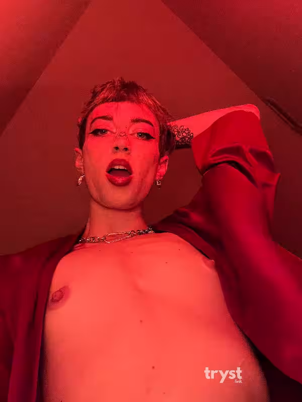 Escort/Massage/S&M Scarlet in North Hollywood, CA