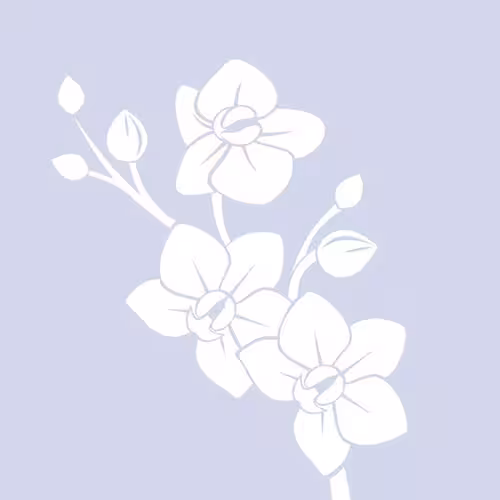 Ashley Allure - Escort/Massage/S&M in San Francisco, CA