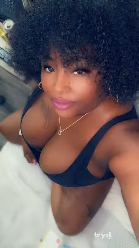 Ms. Juggs - Escort in Tampa, FL