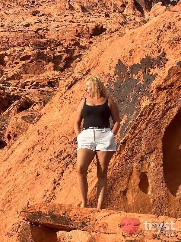 Escort Renee Quinn in Tampa, FL